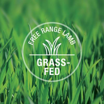 Booster Lamb Green Tripe Freeze-Dried Cat Food Topper, 2-oz bag