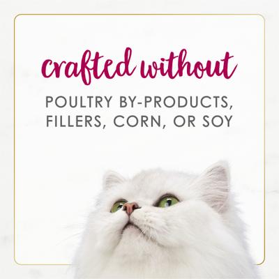 Gourmet Naturals Natural White Meat Chicken & Beef Recipe In Gravy Canned Cat Food, 3-oz can, case of 12