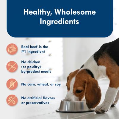 Divine Delights Filet Mignon Flavor Pate Dog Food Trays, 3.5-oz, case of 12