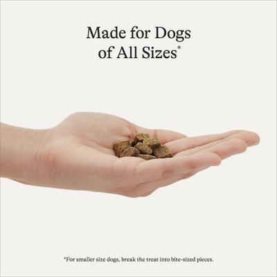 Salmon Recipe Grain-Free Soft & Chewy Training Bits Dog Treats, 4-oz bag