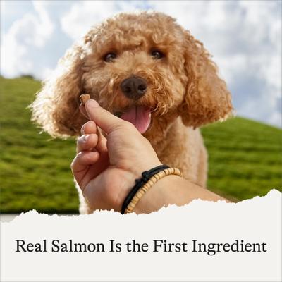 Salmon Recipe Grain-Free Soft & Chewy Training Bits Dog Treats, 4-oz bag