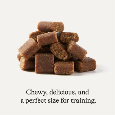 Salmon Recipe Grain-Free Soft & Chewy Training Bits Dog Treats, 4-oz bag