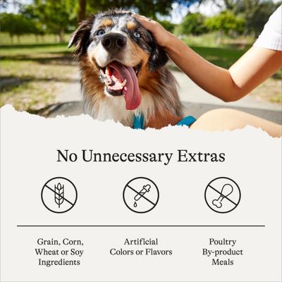 Salmon Recipe Grain-Free Soft & Chewy Training Bits Dog Treats, 4-oz bag