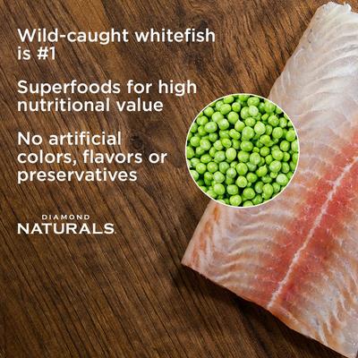 Naturals Whitefish Dinner Adult & Kitten Canned Cat Food, 5.5-oz, case of 48