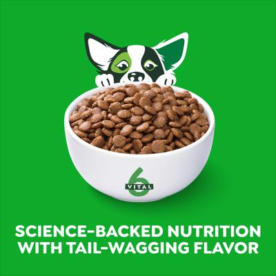 Smart Essentials Small Breed Adult High Protein Real Chicken & Rice Dry Dog Food, 5.5-lb bag