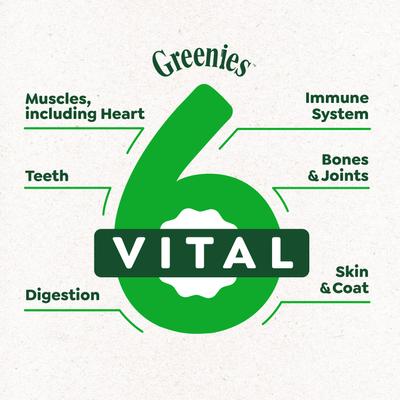 Smart Essentials Small Breed Adult High Protein Real Chicken & Rice Dry Dog Food, 5.5-lb bag