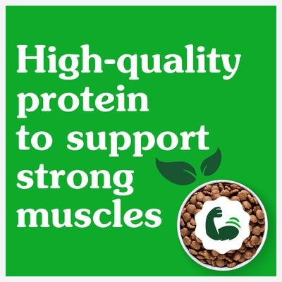 Smart Essentials Small Breed Adult High Protein Real Chicken & Rice Dry Dog Food, 5.5-lb bag