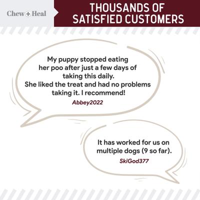 Roasted Lamb Stop The Poo Soft Chew Coprophagia & Digestive Supplement for Dogs, 120 count