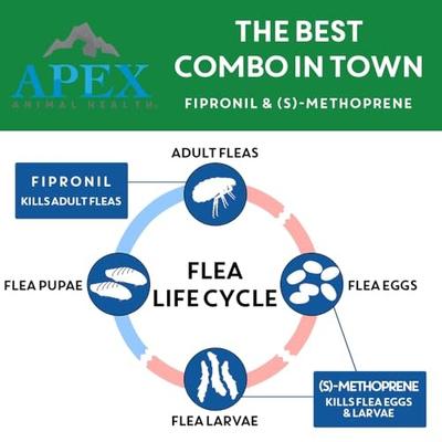 Topical Flea & Tick Treatment for Cats, >1.5 lbs, 6 doses