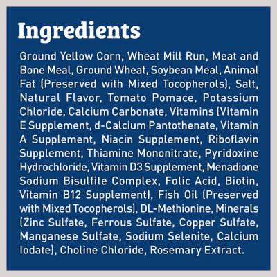 Meaty Flavor Dry Dog Food, 34-lb bag