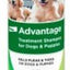 Flea & Tick Treatment Shampoo for Dogs & Puppies, 8-fl oz bottle