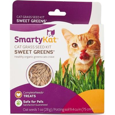 Kit de semillas de césped para gatos Sweet Greens, bolsa de 1 oz