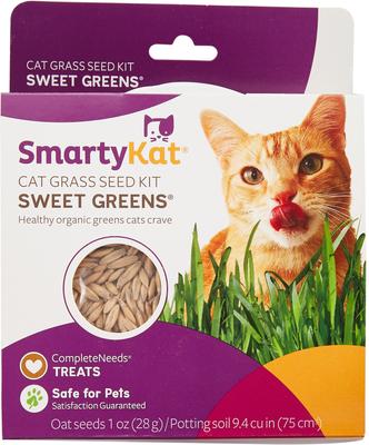 Kit de semillas de césped para gatos Sweet Greens, bolsa de 1 oz
