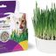 Sweet Greens Cat Grass Seed Kit, 1-oz bag