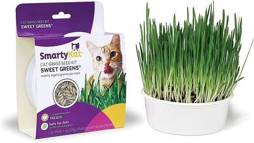 Sweet Greens Cat Grass Seed Kit, 1-oz bag