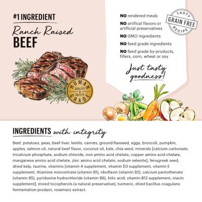 Paquete: Comida seca The Honest Kitchen Beef Whole Food Clusters + Comida integral para perros con pollo y avena