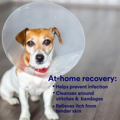 Antimicrobial Skin & Wound Care Cat & Dog Spray, 8-fl oz bottle