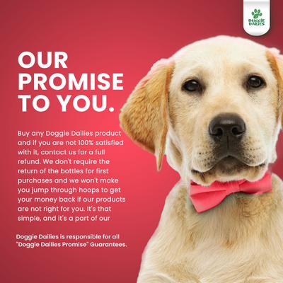 Wild Alaskan Salmon Oil Dog Supplement, 32-fl oz bottle