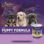 Puppy Formula Pate Canned Wet Dog Food, 13-oz can, 12 count