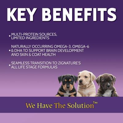 Puppy Formula Pate Canned Wet Dog Food, 13-oz can, 12 count