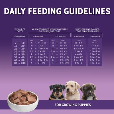 Puppy Formula Pate Canned Wet Dog Food, 13-oz can, 12 count