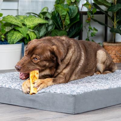 Beefhide 10-inch Rolls Peanut Butter Flavored Dog Hard Chews, 1 count