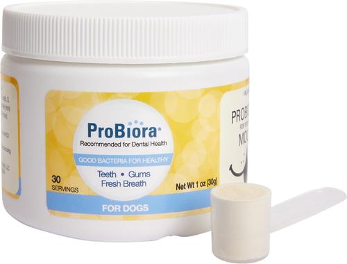 Probiotic Dog Oral Care Powder, 1-oz bottle