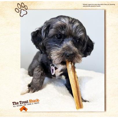 Premios para perros Bully Sticks de 6 pulgadas, 6 unidades