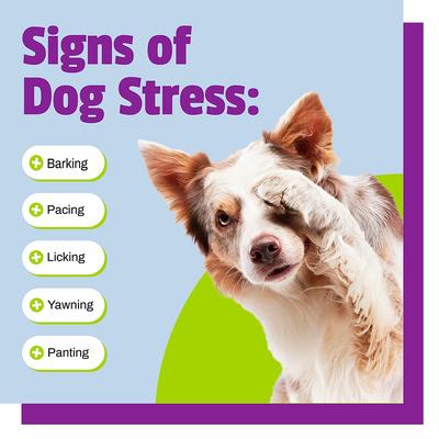 Calming Dog Chews, 30 count