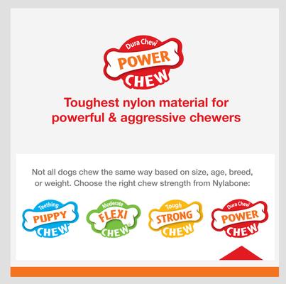 Bundle: Nylabone Nubz Large Chicken Treats, 16 count + Power Chew Pretzel Chew Toy