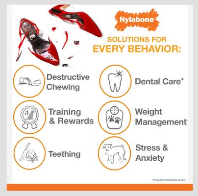 Bundle: Nylabone Nubz Large Chicken Treats, 16 count + Power Chew Pretzel Chew Toy