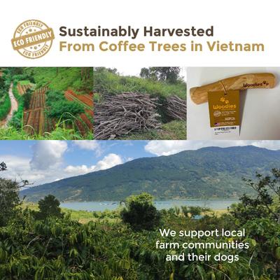 Coffee Wood Small Dog Chew, 1 count