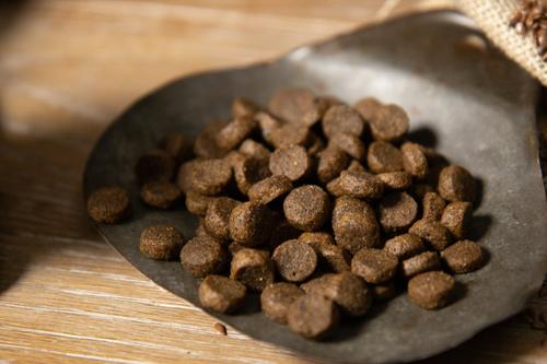 Ocean Recipe Salmon & Whitefish Meals Whole Grains Adult Dry Dog Food, 13-lb bag