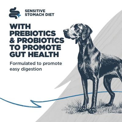 Sensitive Skin & Stomach Adult Catfish Meal with Ancient Grains Recipe Dry Dog Food, 4.5-lb bag