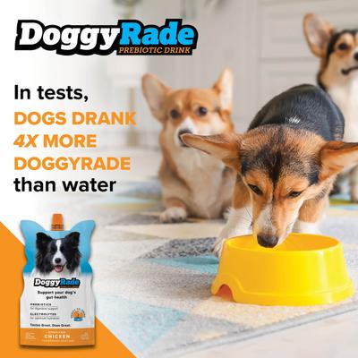 Suplemento digestivo prebiótico con sabor a pollo para perros, bolsa de 500 ml, paquete de 6