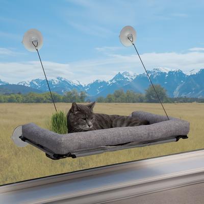 EZ Mount Deluxe Bolstered Kitty Sill with Cat Grass Grow Station Cat Window Perch, Gray