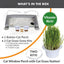 EZ Mount Deluxe Bolstered Kitty Sill with Cat Grass Grow Station Cat Window Perch, Gray
