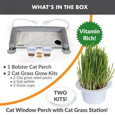 EZ Mount Deluxe Bolstered Kitty Sill with Cat Grass Grow Station Cat Window Perch, Gray