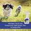 Insect Repellent Spray for Dogs & Cats, 6-fl oz