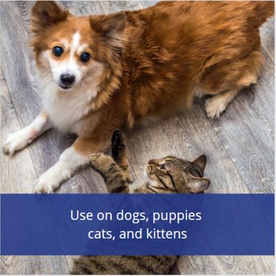 Insect Repellent Spray for Dogs & Cats, 6-fl oz