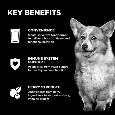 Booster Immune Health Shredded Chicken & Salmon in Broth Wet Dog Food, 2.8-oz pouch, 12 count