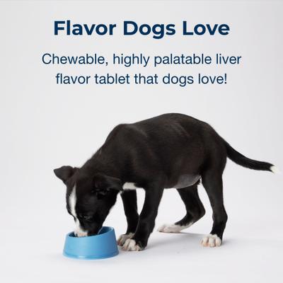 Sure Grow 100 Calcium & Phosphorus Chewable Supplement Tablets for Puppies 8 Weeks & Older, 100 count