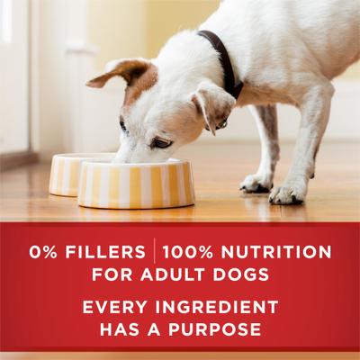 Plus Tender Cuts in Gravy Heart & Brain Chicken & Brown Rice Entree Natural Wet Dog Food, 13-oz can, case of 12