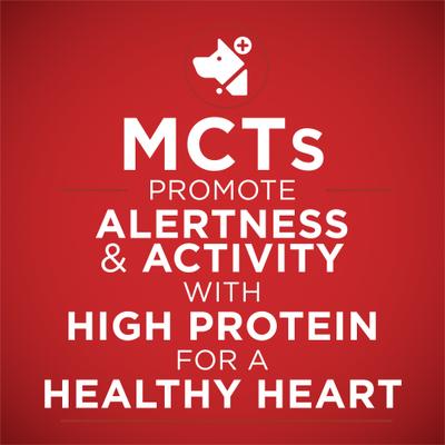 Plus Tender Cuts in Gravy Heart & Brain Chicken & Brown Rice Entree Natural Wet Dog Food, 13-oz can, case of 12