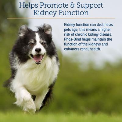 Phos-Bind Kidney Support Dog & Cat Supplement, 35-g bottle