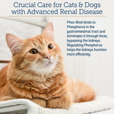 Phos-Bind Kidney Support Dog & Cat Supplement, 35-g bottle