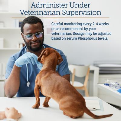 Phos-Bind Kidney Support Dog & Cat Supplement, 35-g bottle