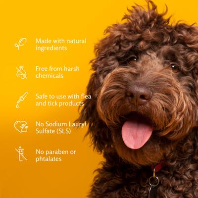 Super Deodorizing Dog Shampoo, 20-fl oz bottle