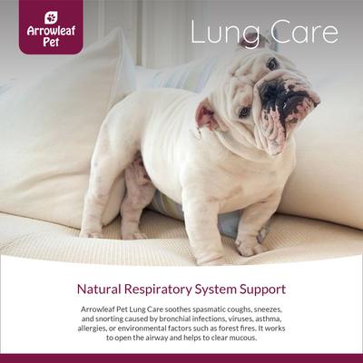 Lung Care Respiratory Health Supplement for Cats & Dogs, 100-ml bottle