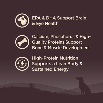 CORE Wholesome Grains Puppy High Protein Dry Dog Food, 4-lb bag